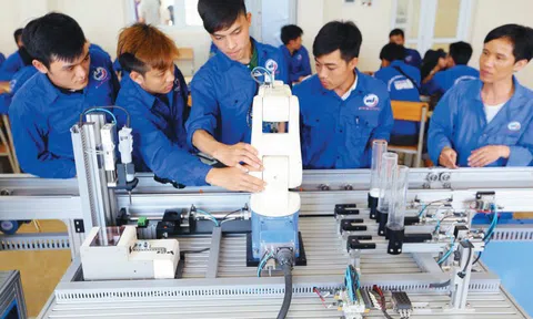 ‘Chìa khóa’ để thanh niên thích ứng với thế giới việc làm hậu COVID-19