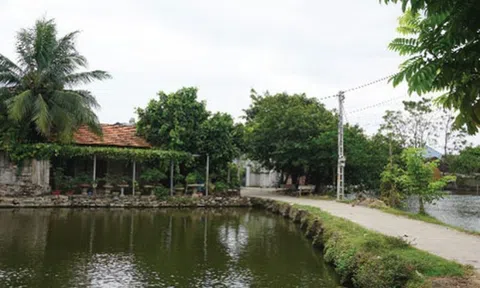 Sắc màu Cổ Đô - "Làng họa sĩ" nông dân