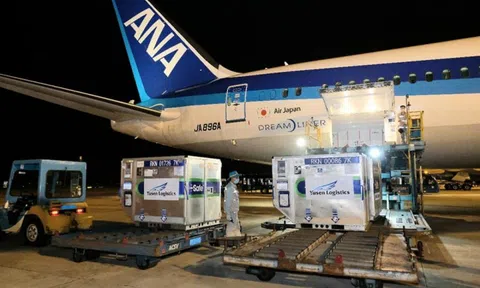 Việt Nam cảm ơn cộng đồng quốc tế chung tay hỗ trợ phòng, chống dịch COVID-19