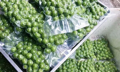 Ngày hè với những món ngon từ sấu tươi