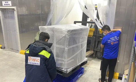 Lô vaccine AstraZeneca lớn nhất về đến Việt Nam