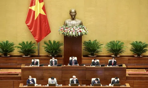 Đại biểu Quốc hội đồng tình, đánh giá cao báo cáo của Chính phủ