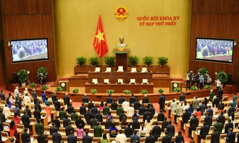 Luật Đất đai (sửa đổi) sẽ được trình Quốc hội xem xét vào năm 2022