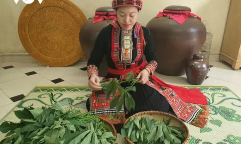 Yên Bái: Mờ sán sui - Rau sắn muối chua dân dã mà lạ miệng của đồng bào Dao đỏ