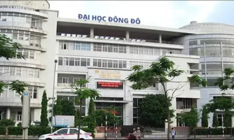 Truy tố 10 bị can trong vụ cấp bằng giả tại Trường Đại học Đông Đô