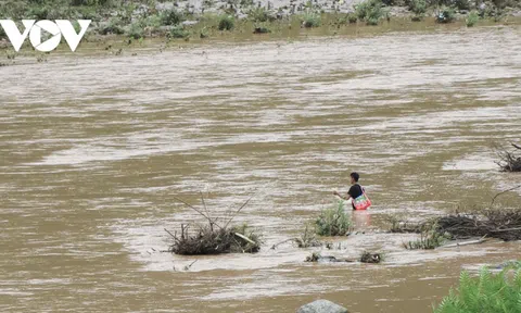 Bất chấp nguy hiểm, người dân Điện Biên vẫn đánh bắt cá trên suối lũ