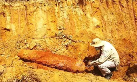 Quảng Bình: Phát hiện, xử lý an toàn quả bom nặng hơn 200 kg