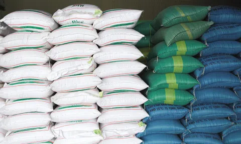 Hỗ trợ gạo các địa phương thực hiện giãn cách xã hội