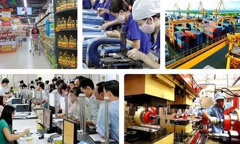 Tiếp tục rà soát, sửa đổi, bổ sung quy định pháp luật gây vướng mắc trong đầu tư kinh doanh