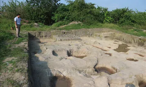 Hà Nội: Xây dựng hồ sơ xếp hạng di chỉ khảo cổ Vườn Chuối