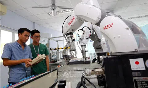 Ngành công nghệ thông tin vẫn có nhu cầu cao về nhân lực