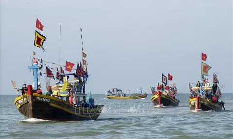 Bình Thuận: Phục dựng Lễ hội Cầu ngư ở ngôi vạn thờ 100 bộ xương cốt Cá Voi 