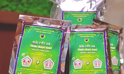 Thảo dược tươi Hải Cốt An - liệu pháp “vàng” trị bệnh bằng xông hơi, ngâm chân