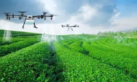 Hà Nội: Sắp diễn ra Hội thảo Định hướng và giải pháp phát triển Nông nghiệp Thông minh