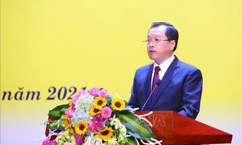 Nhiều giải thưởng được trao tại Cuộc thi Đại sứ Văn hóa đọc năm 2021