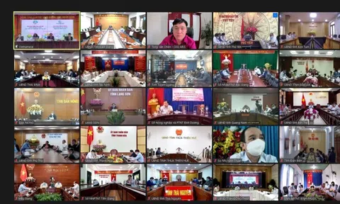 Giải pháp phục hồi bền vững du lịch Việt Nam trong điều kiện bình thường mới