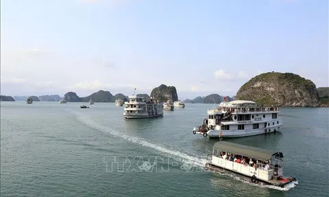 Chuyên trang quảng bá du lịch Việt Nam dành cho khách quốc tế