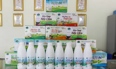 SỮA NÔNG TRẠI MYFARM: Sản phẩm OCOP 4 sao được người tiêu dùng tín nhiệm