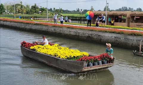 Cần Thơ: 'Phố ông Lang' - Điểm du lịch sinh thái độc đáo, miễn phí
