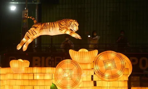 Hình tượng 'Chúa sơn lâm' trong văn hóa các nước châu Á trong năm Nhâm Dần