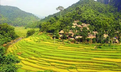 Thanh Hóa: Pù Luông 'thiên đường giữa đại ngàn'