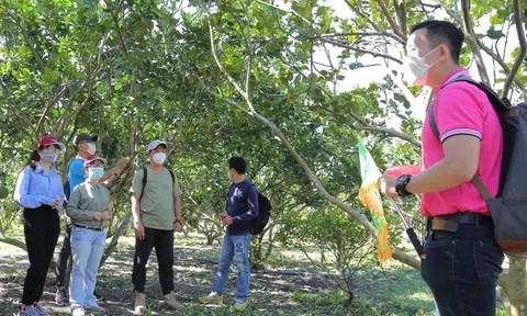 Thích ứng an toàn, linh hoạt từng bước phục hồi du lịch