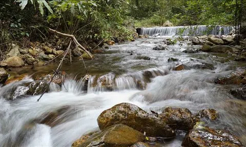 Gia Lai: Phát triển, bảo tồn Khu dự trữ sinh quyển Cao nguyên Kon Hà Nừng