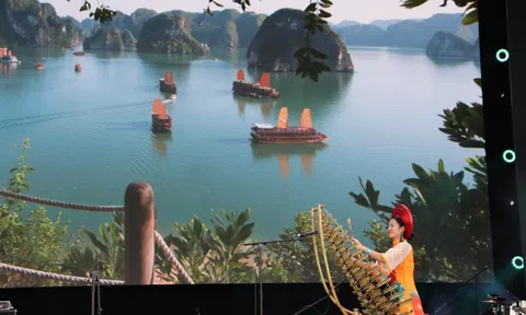 EXPO 2020 Dubai tôn vinh Di sản Thế giới vịnh Hạ Long