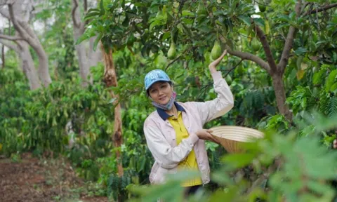 Hoa hậu H'Hen Niê - Đỗ Thị Hà: Vươn tầm thế giới vẫn không quên nguồn cội