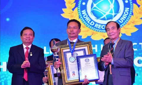 Đồng Tháp: Bộ sưu tập 10 cây mai vàng ở Sa Đéc đạt Kỷ lục thế giới