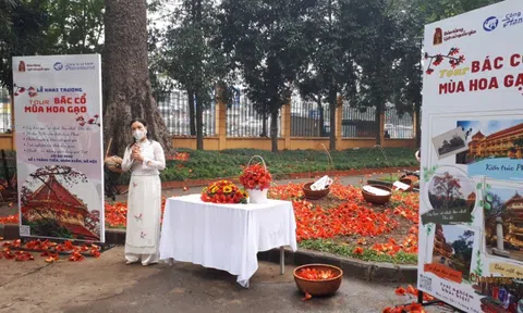 Hà Nội: Chương trình du lịch ‘Bác Cổ - Mùa hoa gạo’ thu hút du khácH