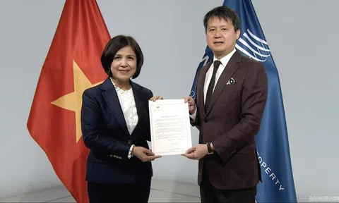 Việt Nam gia nhập Hiệp ước WIPO về buổi biểu diễn và bản ghi âm