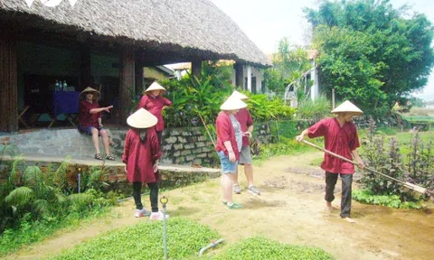 Quảng Nam: Nghề trồng rau Trà Quế (Hội An) được công nhận Di sản Văn hóa phi vật thể quốc gia