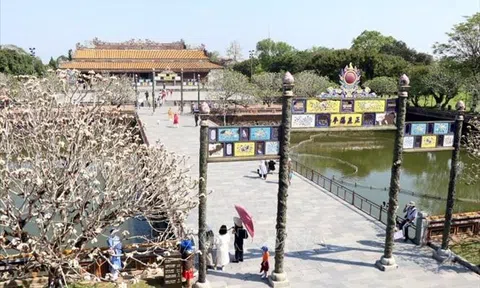 Thừa Thiên - Huế: Hoạt động du lịch trở lại với nhiều sản phẩm phong phú