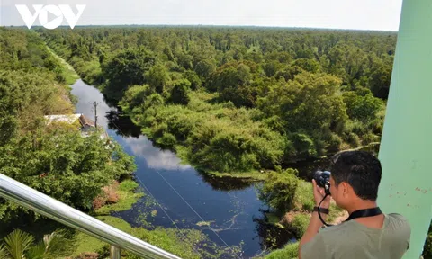 Cà Mau gìn giữ hồn cốt đất rừng U Minh hạ - Vùng rừng giàu tài nguyên bậc nhất cả nước