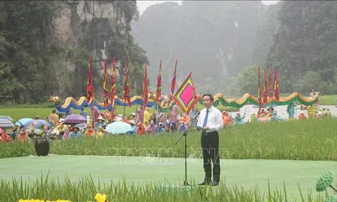 Ninh Bình: Tuần du lịch 'Sắc vàng Tam Cốc - Tràng An'