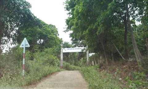 Kon Tum: Bảo tồn gắn với phát triển du lịch sinh thái tại Vườn Quốc gia Chư Mom Ray