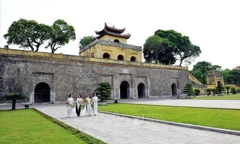 Hà Nội: Phát lộ dấu tích mới của sân Đan Trì và trục Ngự Đạo tại Hoàng thành Thăng Long