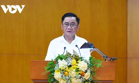 Ông Trần Cẩm Tú: Xử lý như thế nhưng nhiều vi phạm mới lại nghiêm trọng hơn