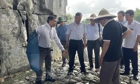 Thanh Hóa: Kết quả sơ bộ khai quật đường Hoàng Gia nội thành di sản Thành nhà Hồ