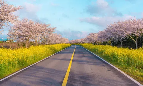 Tour nước ngoài chiếm ưu thế du lịch dịp Tết