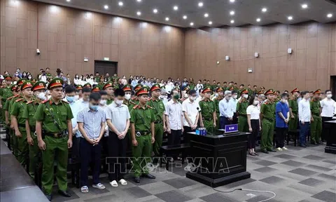 Vụ án “chuyến bay giải cứu”: Những bài học về đạo đức và giá trị trong xã hội