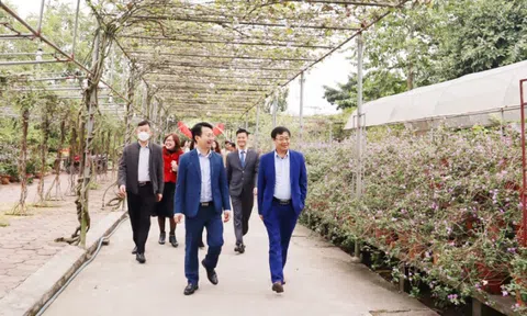 Hà Nội: Tạo điểm đến du lịch xanh tại xã Hồng Vân (Thường Tín)
