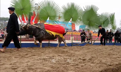 Tuyên Quang: Lễ hội Lồng Tông của đồng bào Tày Chiêm Hóa là sản phẩm du lịch đặc thù thu hút du khách