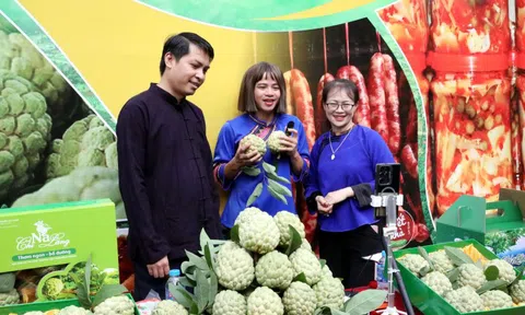 Ứng dụng công nghệ số 'cõng sinh kế' tới vùng cao