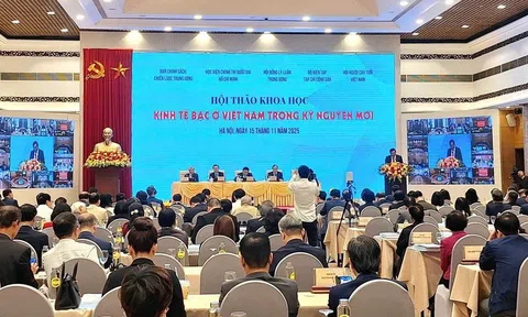 KINH TẾ BẠC – Từ thách thức nhân khẩu học đến cơ hội phát triển