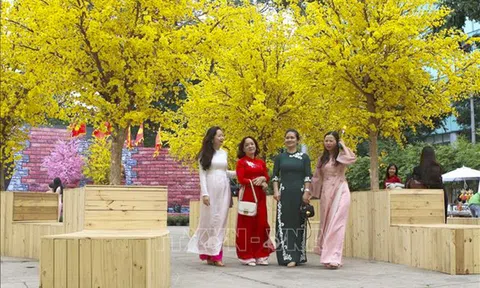 Ngày 26/3: Bắc Bộ có sương mù buổi sáng, gia tăng nắng nóng từ cuối tháng 3