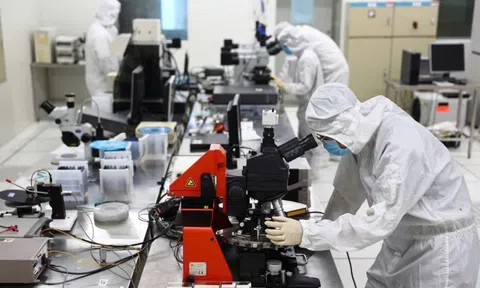 Chuyển từ mô hình quản lý hành chính sang "quản trị kiến tạo" dựa trên hiệu quả đầu ra