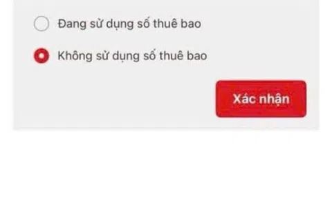 Điểm mới về xác thực trên VNeID lộ nhiều số thuê bao 'không chính chủ'