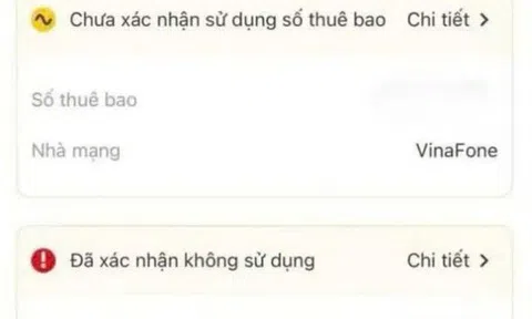VNeID chưa hiển thị đủ số thuê bao đứng tên chính chủ, người dùng cần làm gì?